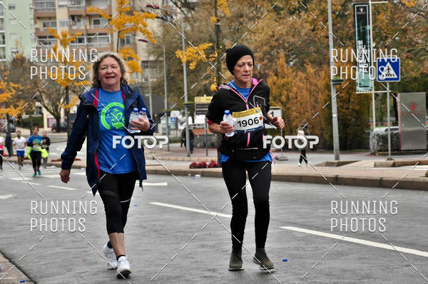 Buy your photos of the eventMeia Maratona Famalic�o 2019 on Fotop