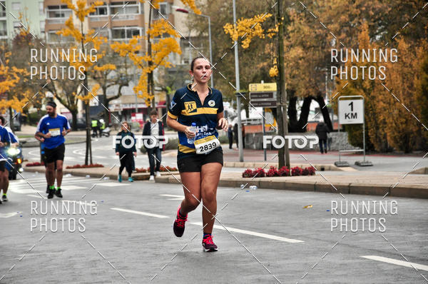 Buy your photos of the eventMeia Maratona Famalic�o 2019 on Fotop