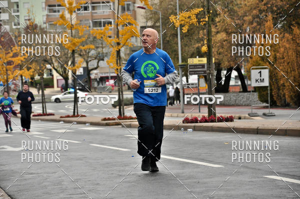 Buy your photos of the eventMeia Maratona Famalic�o 2019 on Fotop