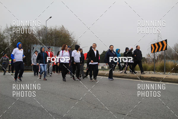 Buy your photos of the eventMeia Maratona Famalic�o 2019 on Fotop
