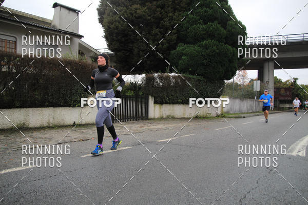 Buy your photos of the eventMeia Maratona Famalic�o 2019 on Fotop