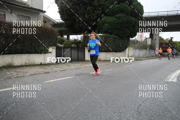 Buy your photos of the eventMeia Maratona Famalic�o 2019 on Fotop