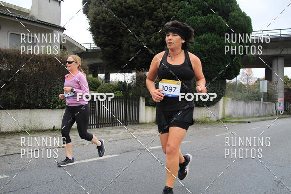 Buy your photos of the eventMeia Maratona Famalic�o 2019 on Fotop