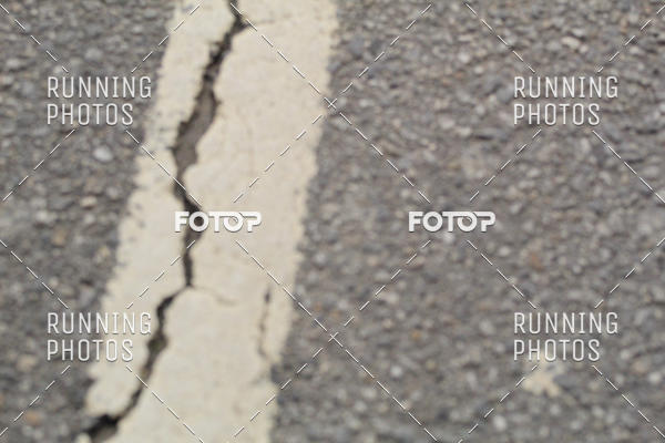 Buy your photos of the eventMeia Maratona Famalic�o 2019 on Fotop