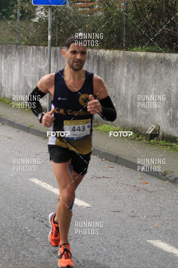 Buy your photos of the eventMeia Maratona Famalic�o 2019 on Fotop