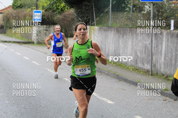 Buy your photos of the eventMeia Maratona Famalic�o 2019 on Fotop