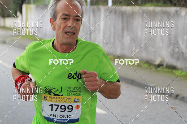 Buy your photos of the eventMeia Maratona Famalic�o 2019 on Fotop