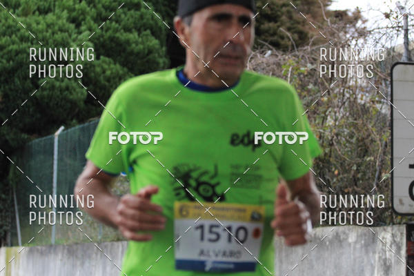 Buy your photos of the eventMeia Maratona Famalic�o 2019 on Fotop