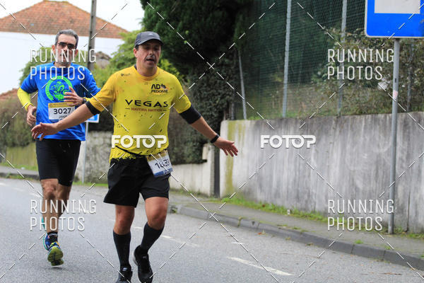 Buy your photos of the eventMeia Maratona Famalic�o 2019 on Fotop