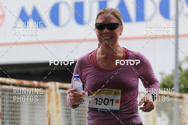 Buy your photos of the eventMeia Maratona Famalic�o 2019 on Fotop
