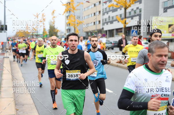 Buy your photos of the eventMeia Maratona Famalic�o 2019 on Fotop