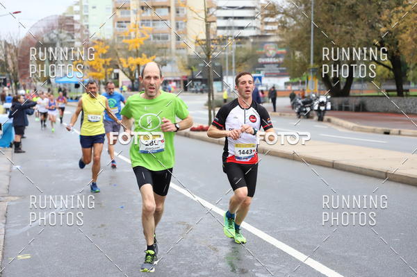 Buy your photos of the eventMeia Maratona Famalic�o 2019 on Fotop