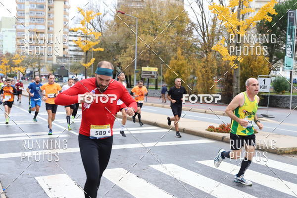 Buy your photos of the eventMeia Maratona Famalic�o 2019 on Fotop