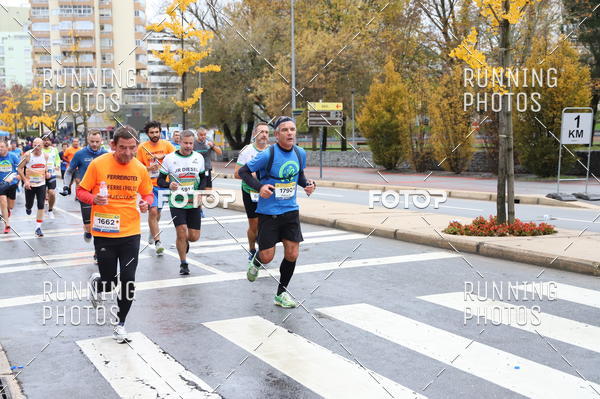 Buy your photos of the eventMeia Maratona Famalic�o 2019 on Fotop