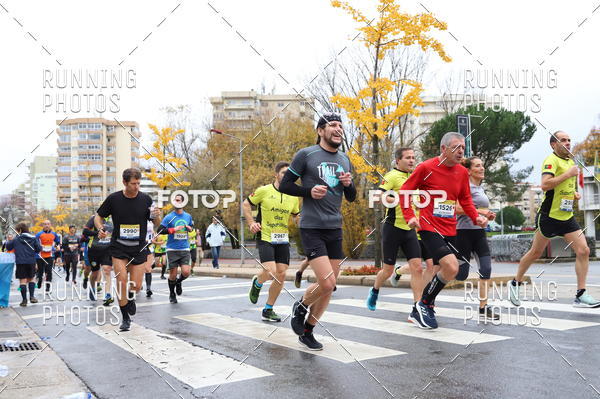 Buy your photos of the eventMeia Maratona Famalic�o 2019 on Fotop