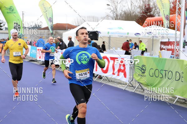 Buy your photos of the eventMeia Maratona Famalic�o 2019 on Fotop