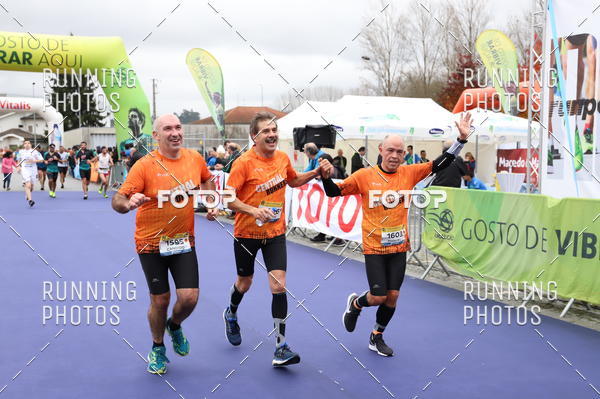 Buy your photos of the eventMeia Maratona Famalic�o 2019 on Fotop