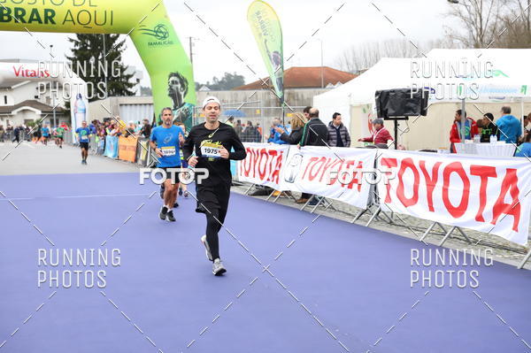 Buy your photos of the eventMeia Maratona Famalic�o 2019 on Fotop