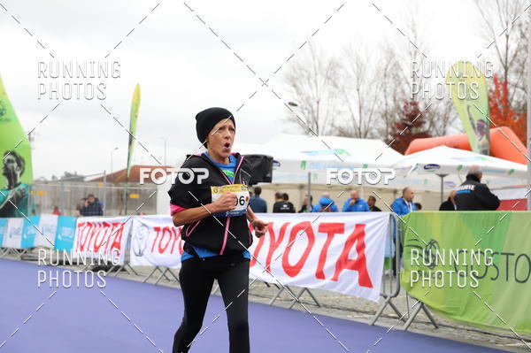 Buy your photos of the eventMeia Maratona Famalic�o 2019 on Fotop