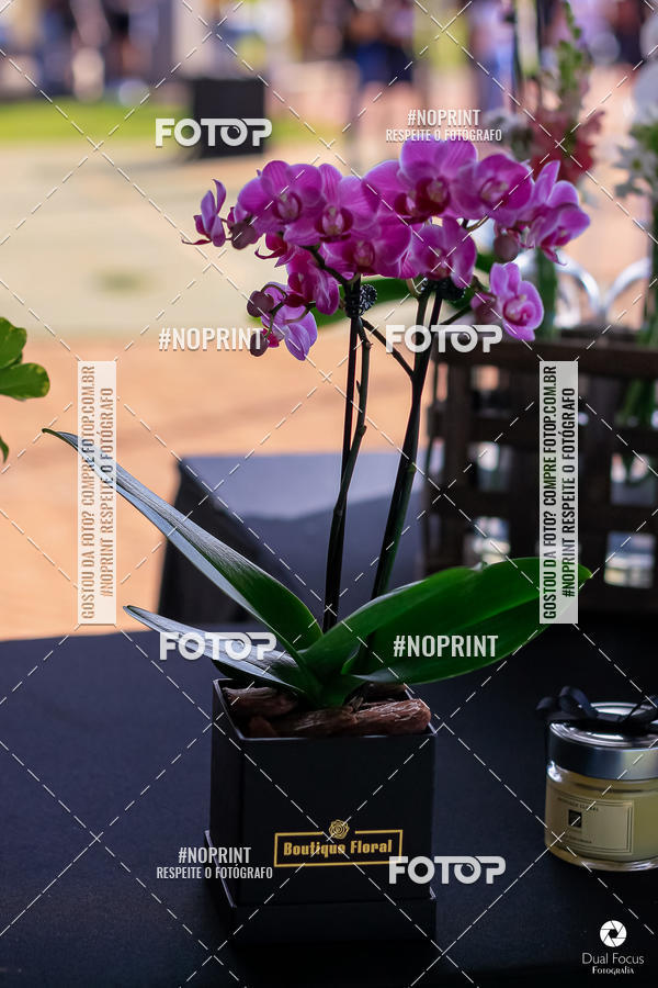 Buy your photos of the eventPULSE 12K on Fotop