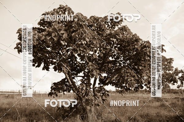 Buy your photos of the eventCerrado Extreme  on Fotop