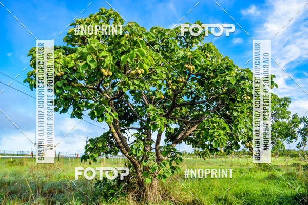 Buy your photos of the eventCerrado Extreme  on Fotop