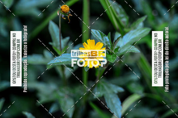 Buy your photos of the eventTijucas Bike Fest on Fotop