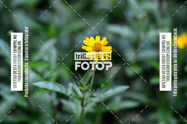 Buy your photos of the eventTijucas Bike Fest on Fotop