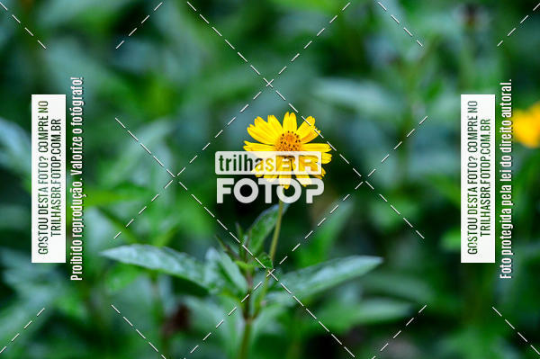 Buy your photos of the eventTijucas Bike Fest on Fotop