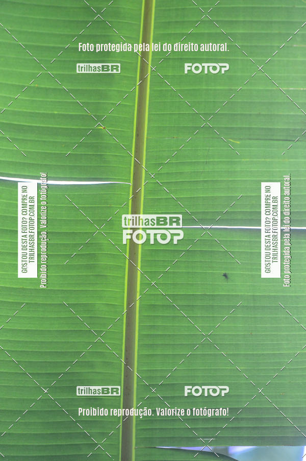 Buy your photos of the eventTijucas Bike Fest on Fotop