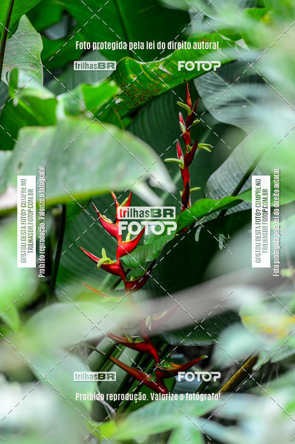 Buy your photos of the eventTijucas Bike Fest on Fotop