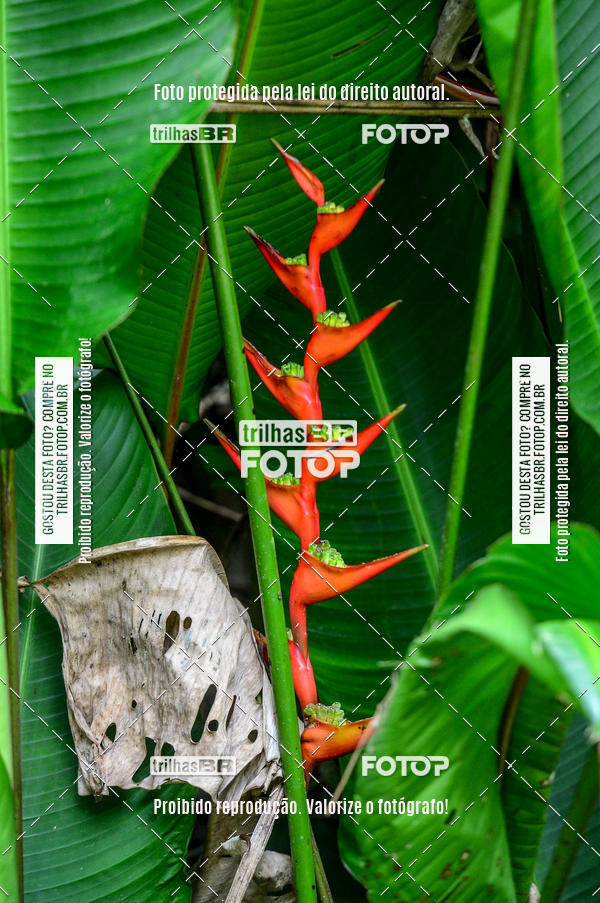 Buy your photos of the eventTijucas Bike Fest on Fotop