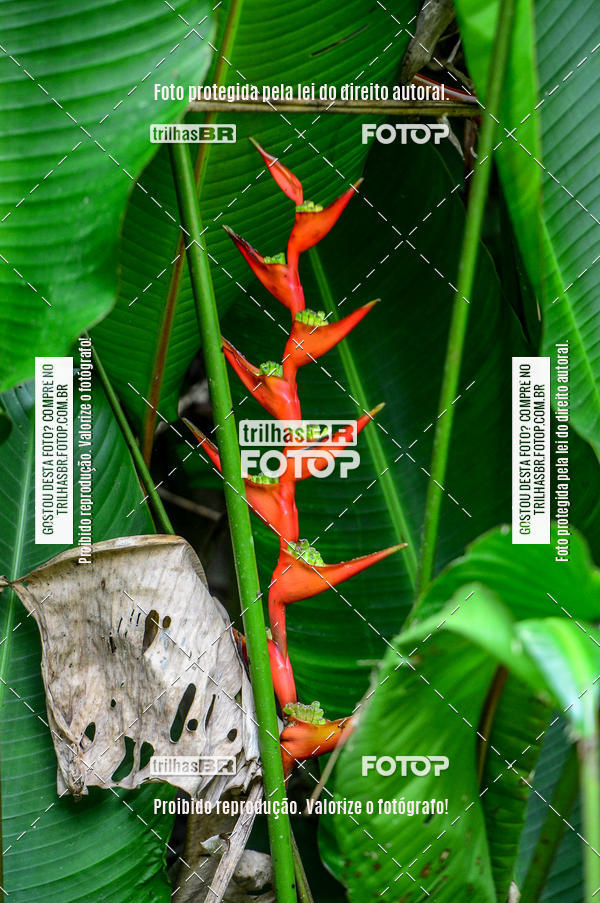 Buy your photos of the eventTijucas Bike Fest on Fotop