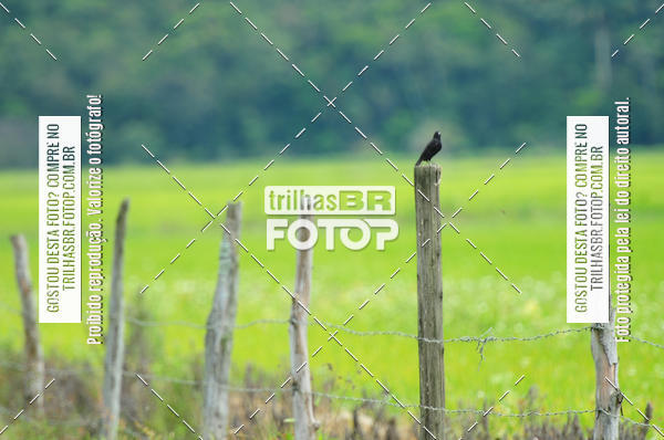 Buy your photos of the eventTijucas Bike Fest on Fotop