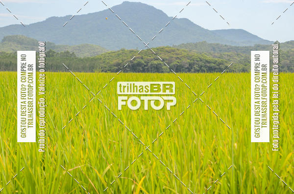 Buy your photos of the eventTijucas Bike Fest on Fotop