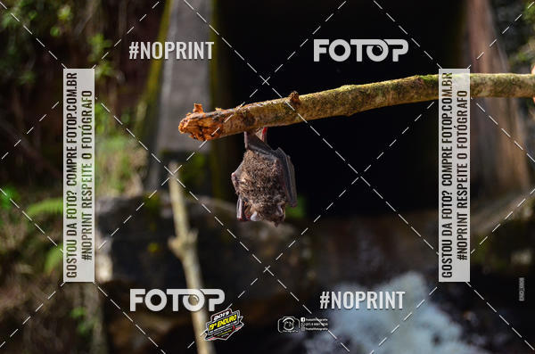 Buy your photos of the event19 Enduro das Montanhas para o Mar -TNEL on Fotop