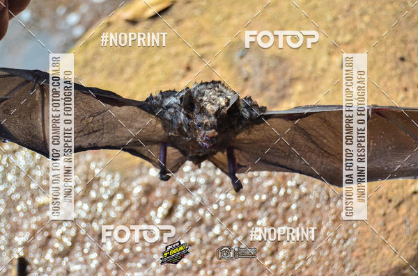 Buy your photos of the event19 Enduro das Montanhas para o Mar -TNEL on Fotop