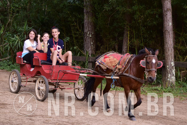 Buy your photos of the eventNR Ol� 6� Ano  22 a 24/11/19 on Fotop