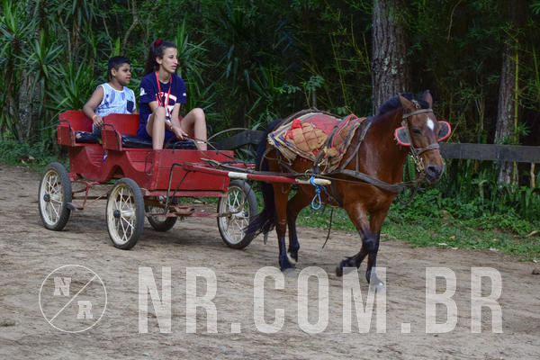 Buy your photos of the eventNR Ol� 6� Ano  22 a 24/11/19 on Fotop