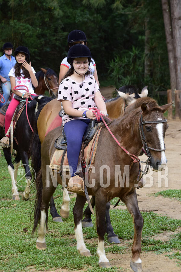 Buy your photos of the eventNR Ol� 6� Ano  22 a 24/11/19 on Fotop