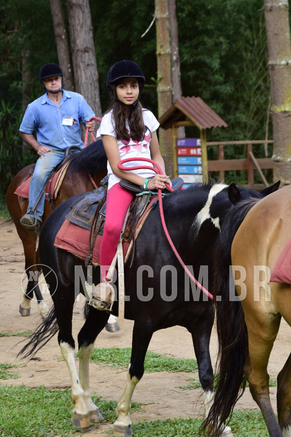 Buy your photos of the eventNR Ol� 6� Ano  22 a 24/11/19 on Fotop