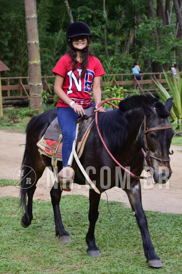 Buy your photos of the eventNR Ol� 6� Ano  22 a 24/11/19 on Fotop