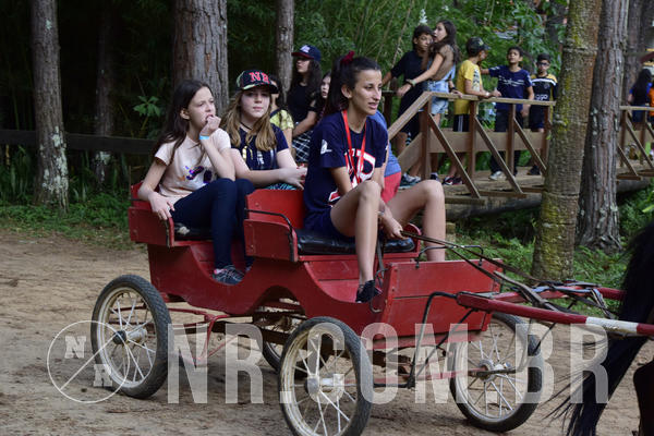 Buy your photos of the eventNR Ol� 6� Ano  22 a 24/11/19 on Fotop