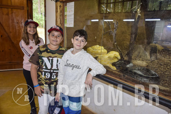 Buy your photos of the eventNR Ol� 6� Ano  22 a 24/11/19 on Fotop