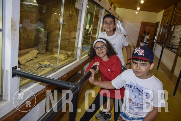 Buy your photos of the eventNR Ol� 6� Ano  22 a 24/11/19 on Fotop