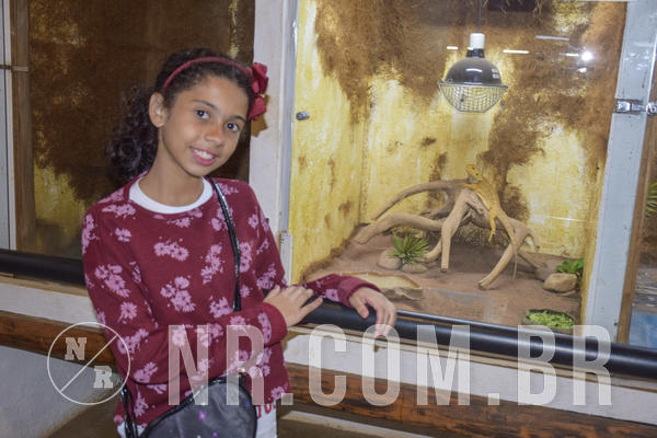 Buy your photos of the eventNR Ol� 6� Ano  22 a 24/11/19 on Fotop