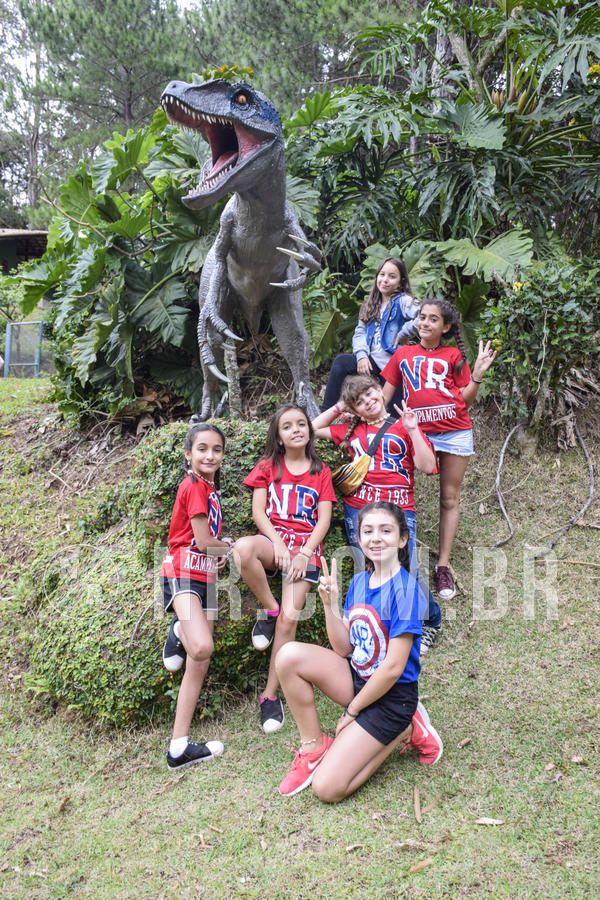 Buy your photos of the eventNR Ol� 6� Ano  22 a 24/11/19 on Fotop