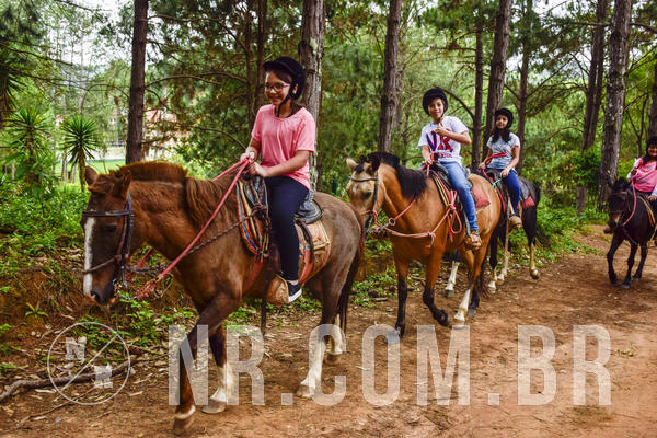 Buy your photos of the eventNR Ol� 6� Ano  22 a 24/11/19 on Fotop