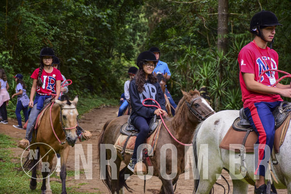 Buy your photos of the eventNR Ol� 6� Ano  22 a 24/11/19 on Fotop