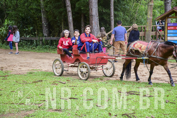 Buy your photos of the eventNR Ol� 6� Ano  22 a 24/11/19 on Fotop